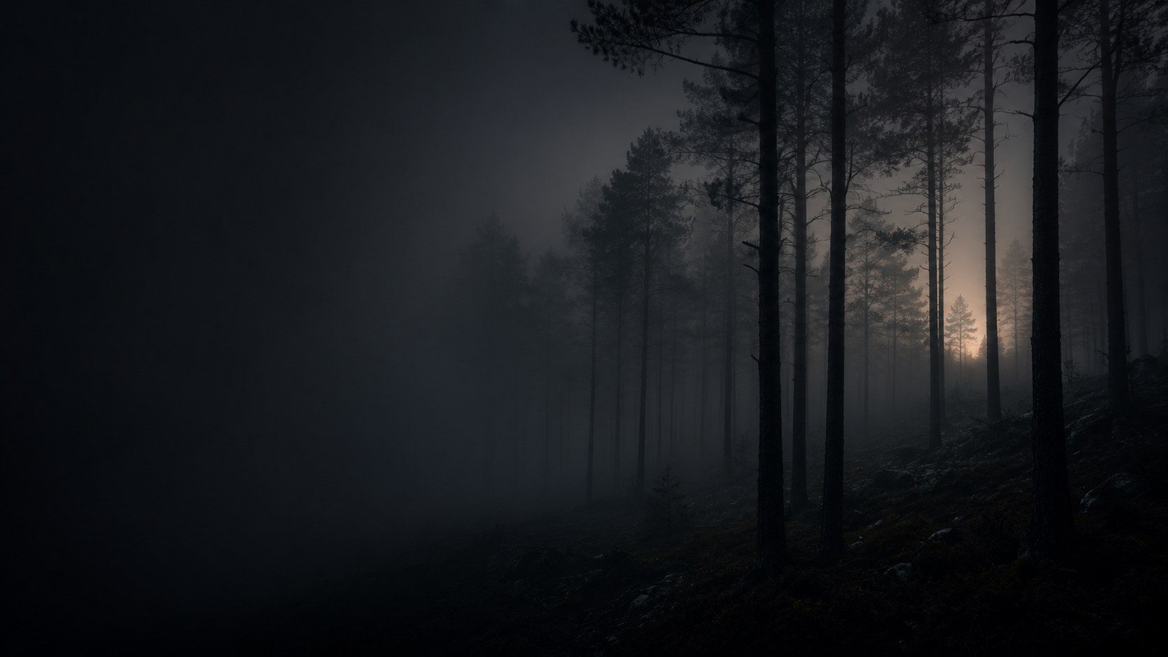 A pine forest in heavy fog before dawn, trunks receding into grey-green haze with one faint warm break far back.